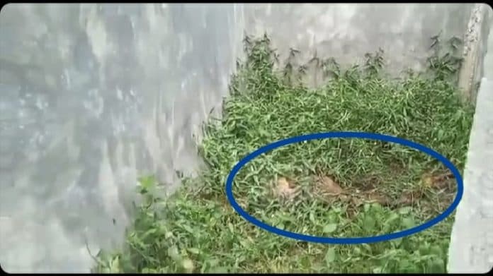 geger_mayat_yang_sudah_hancur_ditemukan_di_rumah_kosong_jalan_jati_deli_serdang