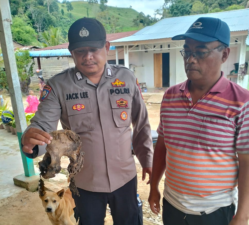 geger_tulang_belulang_manusia_ditemukan_di_perladangan_tanah_pinem_dairi
