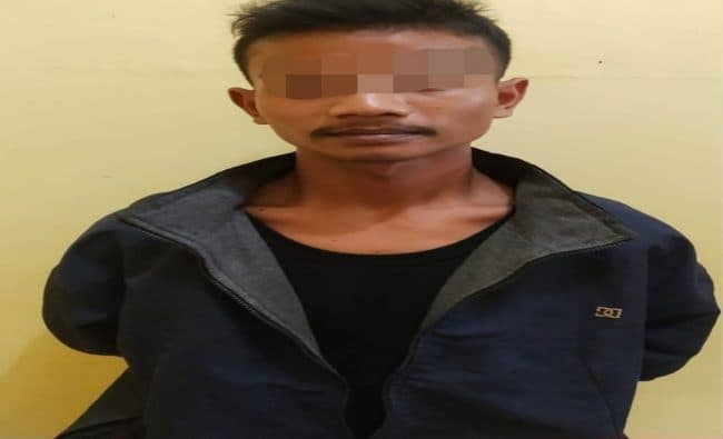 gelapkan_sepedamotor_teman_warga_medan_diamankan_polsek_dolok_merawan