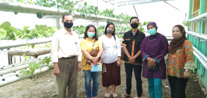 gereja_amin_marindal_belajar_ke_distan_medan_soal_hidroponik