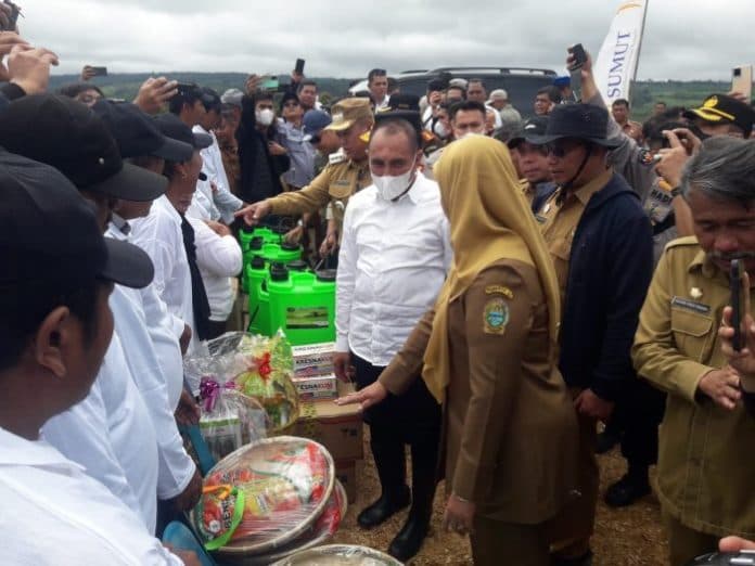 gubernur_sumut_canangkan_kpt_hortikultura_di_dairi