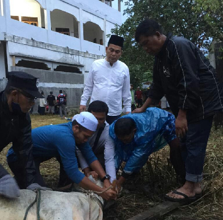 gubsu_serahkan_8_ekor_hewan_kurban_di_mesjid_raya_taqwa_parapat
