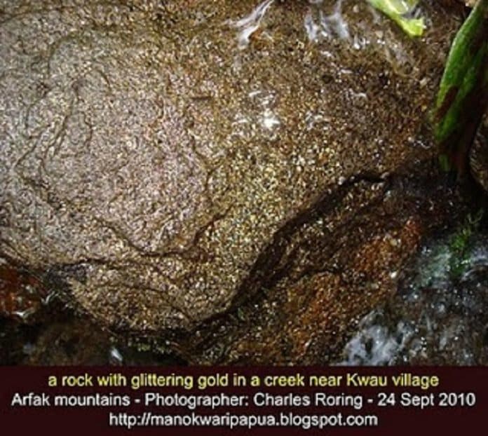 gunung_arfak_kaya_kandungan_emas_pemerintah_dorong_tambang_rakyat