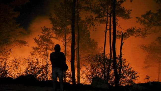 gunung_kilimanjaro_tanzania_terbakar_dekat_kamp_pendakian_di_4000_mdpl
