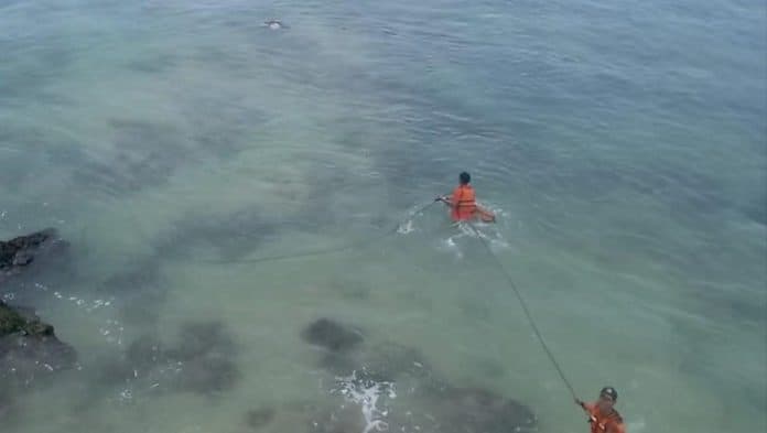 guru_besar_ugm_tewas_tergulung_ombak_di_bawah_tebing_pantai_pulang_sawal