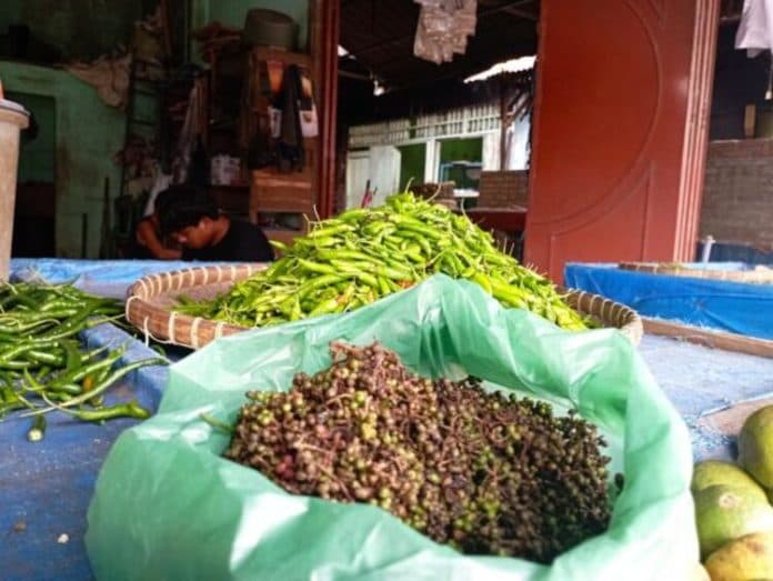 harga_andaliman_di_simalungun_tembus_rp250_ribu_per_kilogram