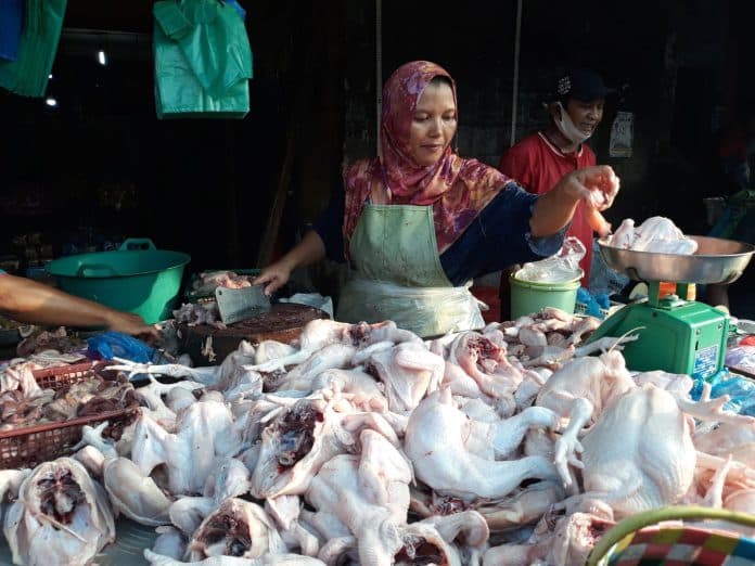 harga_ayam_potong_dan_telur_ayam_kompak_naik
