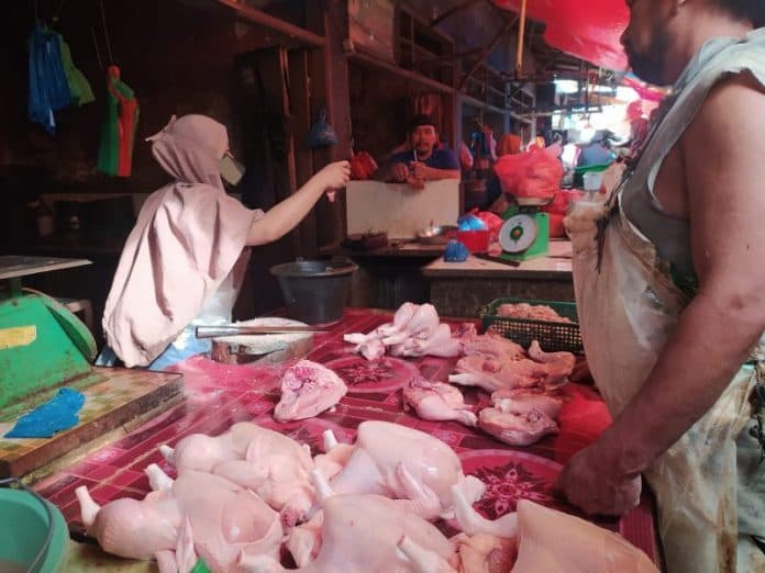 harga_ayam_potong_dan_telur_merangkak_naik_di_siantar
