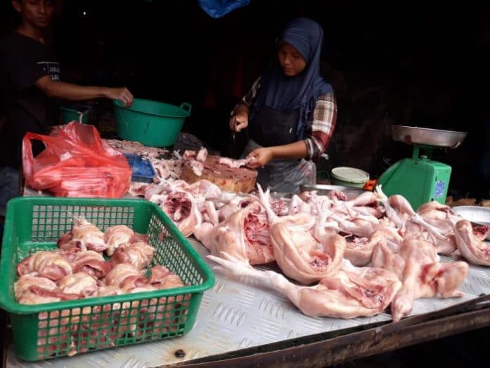 harga_ayam_potong_dan_telur_mulai_naik_di_medan
