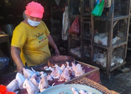 harga_ayam_potong_di_lubuk_pakam_masih_bertahan_rp26_ribu_per_kilogram