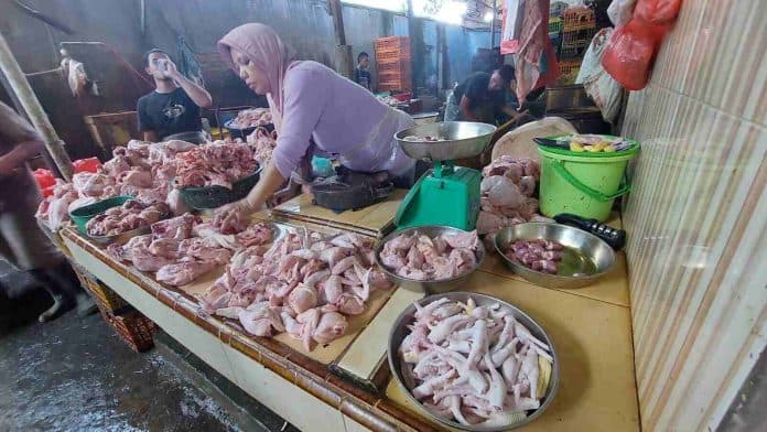 harga_ayam_potong_di_medan_turun_pedagang_sudah_rp30_ribu_per_kg
