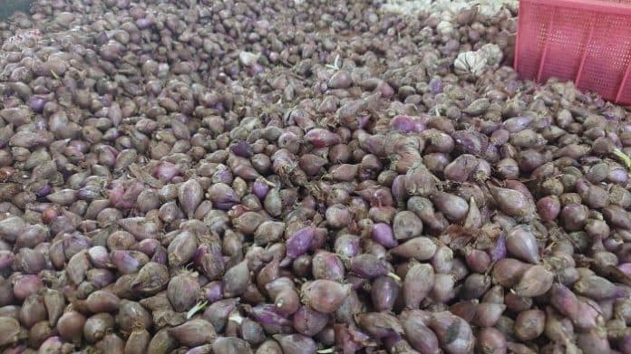 harga_bawang_merah_naik_dipicu_produksi_tanamannya_di_sumut_masih_kurang