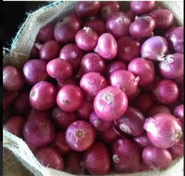 harga_bawang_peking_bergerak_naik_ini_penyebabnya