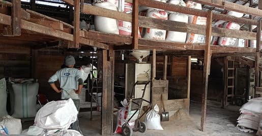 harga_beras_di_dairi_rp_13000_per_kg_hasil_panen_padi_menurun