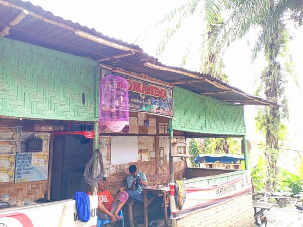 harga_bisa_tembus_rp200_juta_penghobi_burung_di_siantar_melonjak