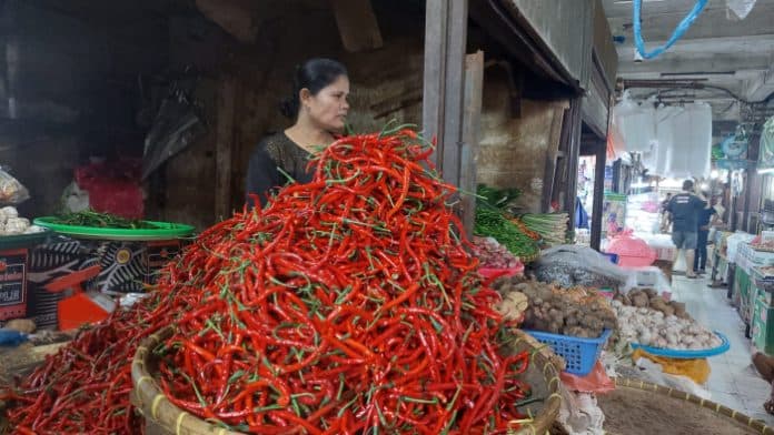 harga_cabai_merah_anjlok_diiringi_permintaan_menurun_di_medan