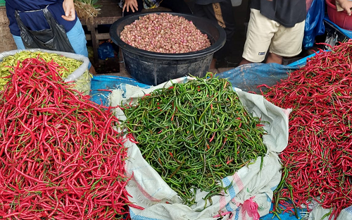 harga_cabai_merah_berfluktuasi_namun_sulit_turun