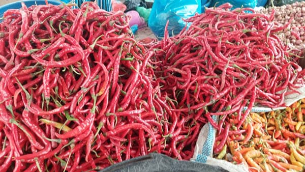 harga_cabai_merah_di_medan_sentuh_rp72000_ayam_potong_rp20000