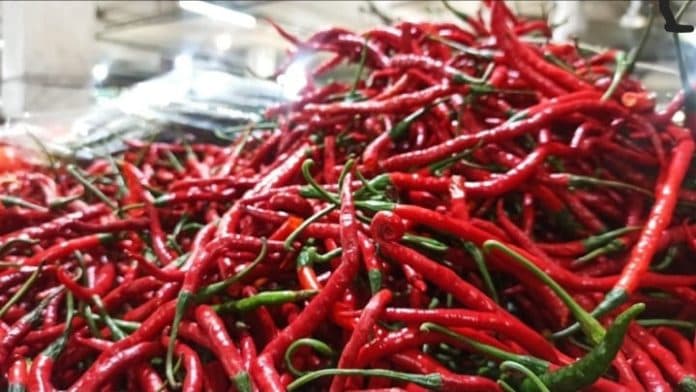 harga_cabai_merah_di_tebing_tinggi_tembus_rp95_ribu_per_kg