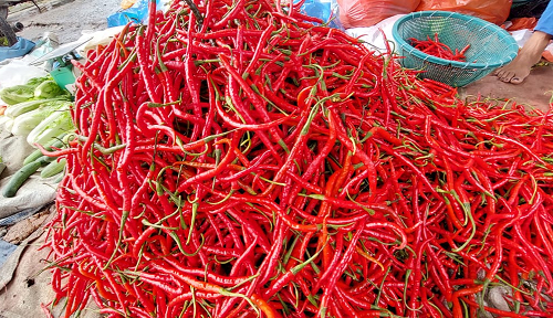 harga_cabai_merah_tembus_rp68_ribu_per_kg_di_medan