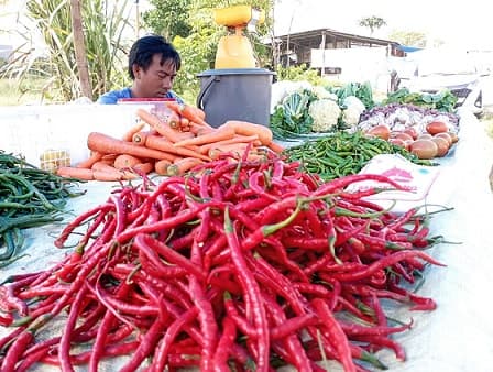 harga_cabai_merangkak_naik_jelang_nataru_di_perdagangan_simalungun