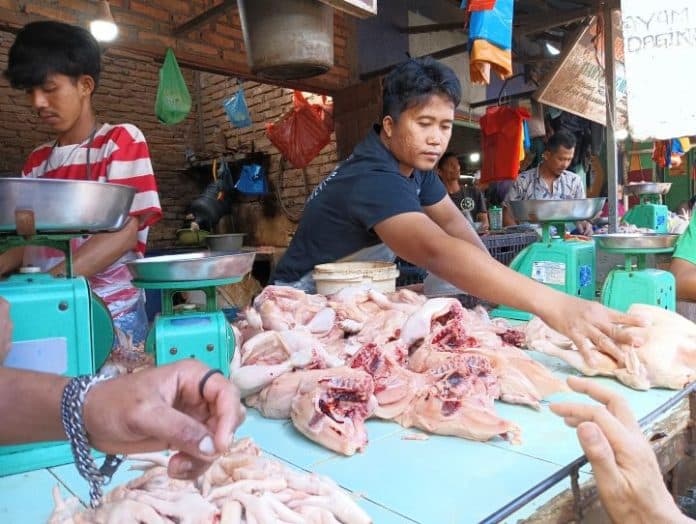 harga_daging_ayam_dan_telur_di_pasar_dwikora_terus_naik