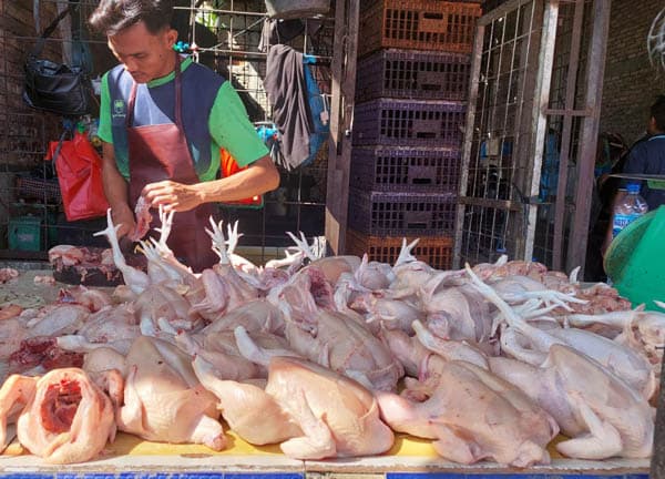 harga_daging_ayam_di_medan_anjlok_lagi_kemungkinan_melambung_saat_nataru