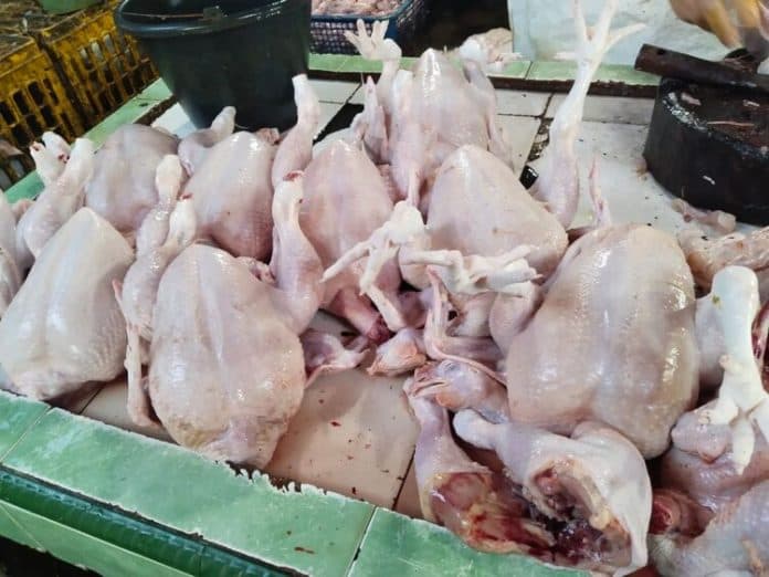 harga_daging_ayam_di_pasar_siantar_alami_deflasi