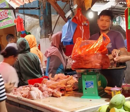 harga_daging_ayam_di_pematang_siantar_berfluktuasi