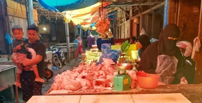harga_daging_ayam_di_pematangsiantar_berangsur_turun