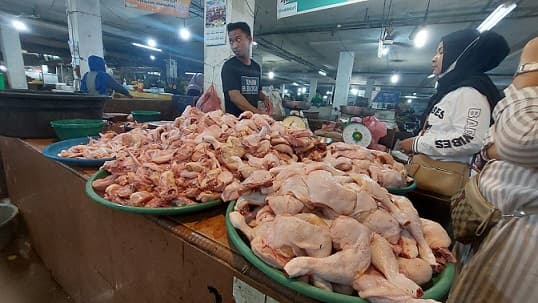harga_daging_ayam_kembali_naik_di_medan_rp37000_per_kg