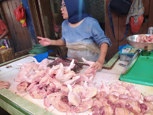 harga_daging_ayam_mulai_turun_giliran_telur_jadi_mahal_di_siantar