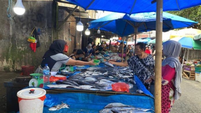 harga_ikan_laut_normal_di_medan_tongkol_rp_20000_per_kg