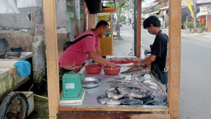 harga_ikan_nila_dan_kembung_kuring_di_lubuk_pakam_alami_kenaikan