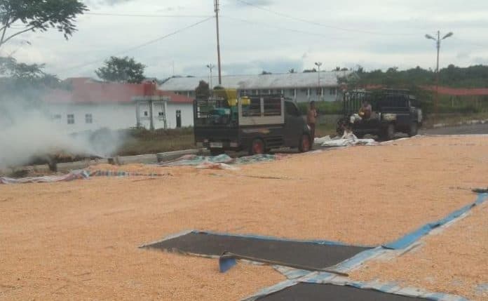 harga_jagung_di_simalungun_anjlok_dua_dinas_ini_diminta_turun_ke_lapangan