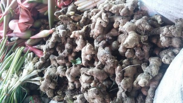 harga_jahe_merah_mencapai_rp_70_80_ribu_per_kg