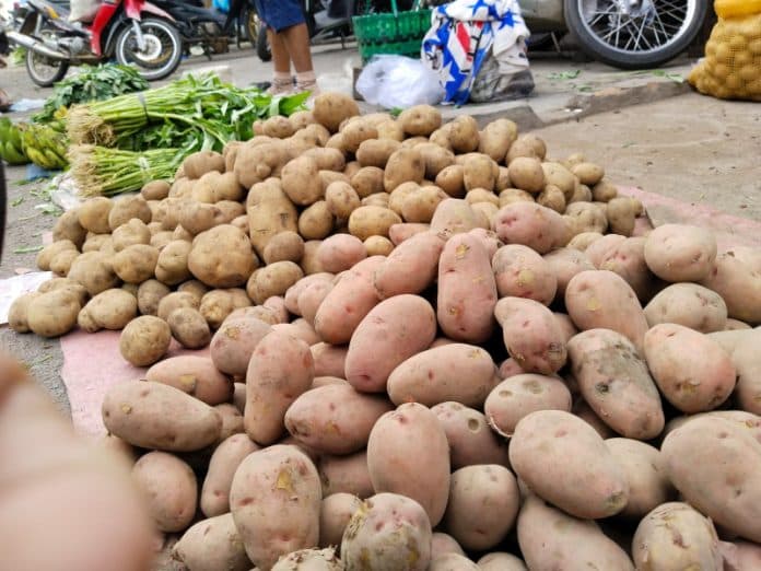 harga_kentang_di_siantar_bertahan_rp16000_per_kg_ini_penyebabnya_kata_pedagang