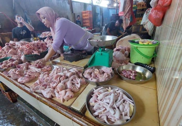 harga_pangan_di_medan_berfluktuatif_daging_ayam_turun