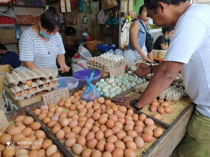 harga_telur_melonjak_di_siantar_diskop_ke_pasar_murah_saja_daging_sapi_juga_ada