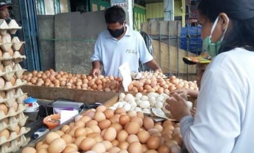 harga_telur_melonjak_disebabkan_harga_pakan_dan_tingginya_permintaan