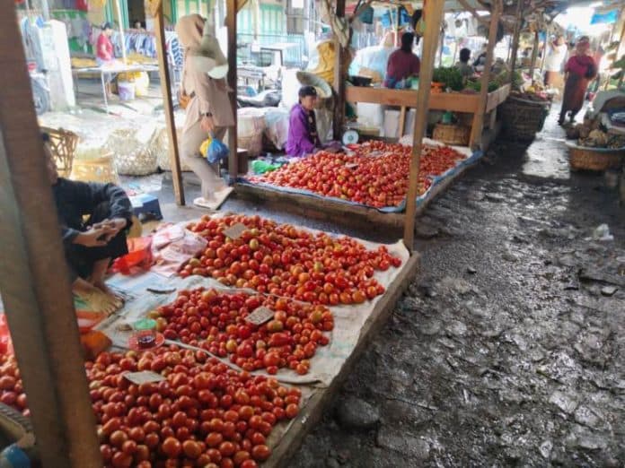 harga_tomat_di_pasar_dwikora_turun_sentuh_rp4000_per_kilogram