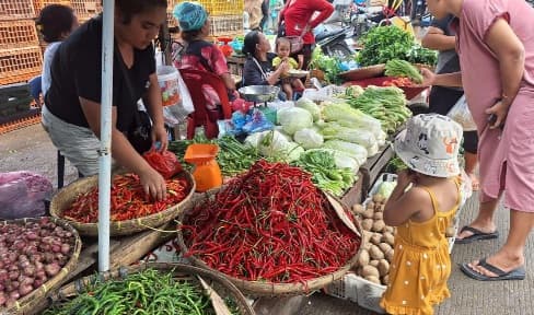 harga_tomat_di_pasar_kampung_lalang_melonjak_tajam