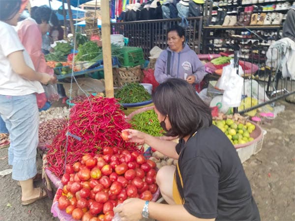 harga_tomat_meroket_di_siantar_tembus_rp20000kg