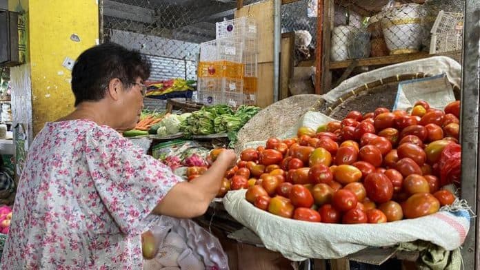 harga_tomat_turun_sayur_melonjak_naik_di_medan