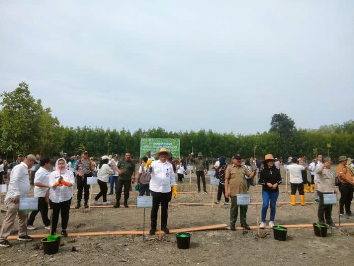 hari_lahan_basah_sedunia_pesisir_pantai_di_asahan_ditanami_mangrove