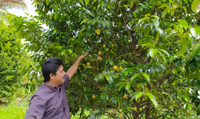 harry_timbul_harahap_buat_sirup_dan_manisan_buah_pala