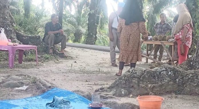 hasil_jual_durian_di_pinggir_jalan_tebing_tinggi_sehari_kumpulkan_rp2_juta