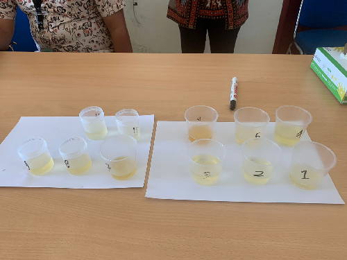 hasil_tes_urine_11_calon_direksi_pdam_tirtalihou_simalungun_negatif
