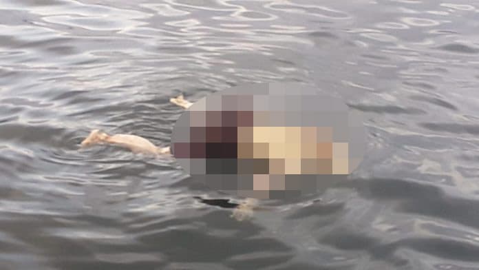 heboh_warga_temukan_mayat_mengapung_di_danau_toba