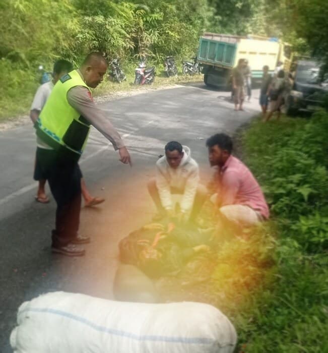 hilang_kendali_sopir_truck_tabrak_pemotor_hingga_tewas_di_taput